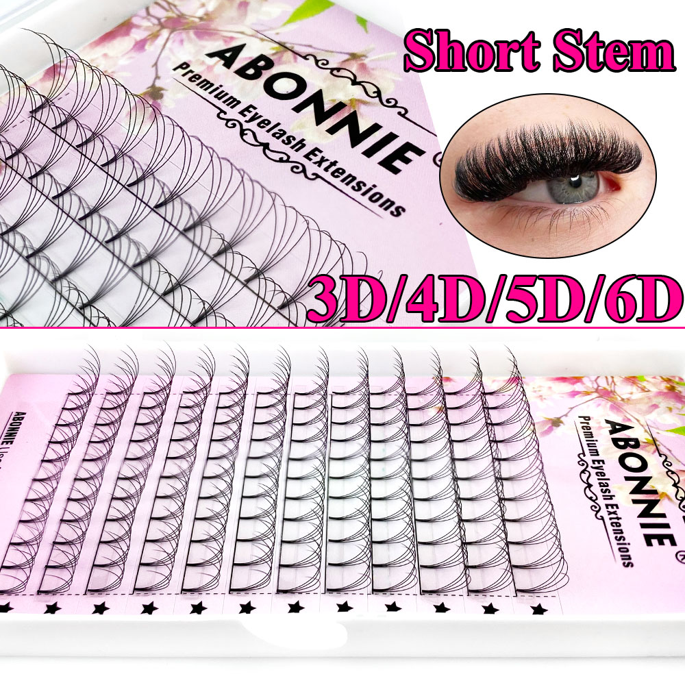 Abonnie 6D Dar Yelpaze Önceden - Eyelash Extension Course incelemesi ve fiyatı